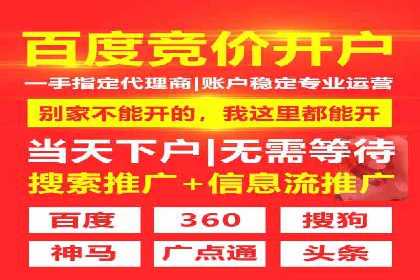 竞价排名成功案例分享